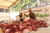  18 عجلاً - حملة جمع الاشتراكات في مشروع الاضاحي مستمرة اليوم حتى الساعة 21:30 